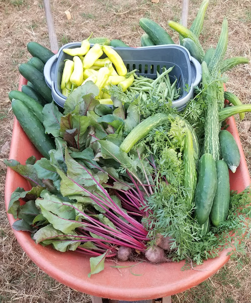 Narrow Way Farm photo 2