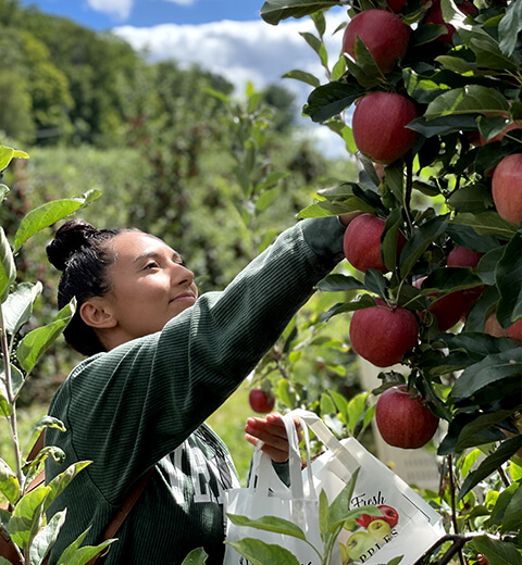 Rogers Orchards Shuttle Meadow Farm