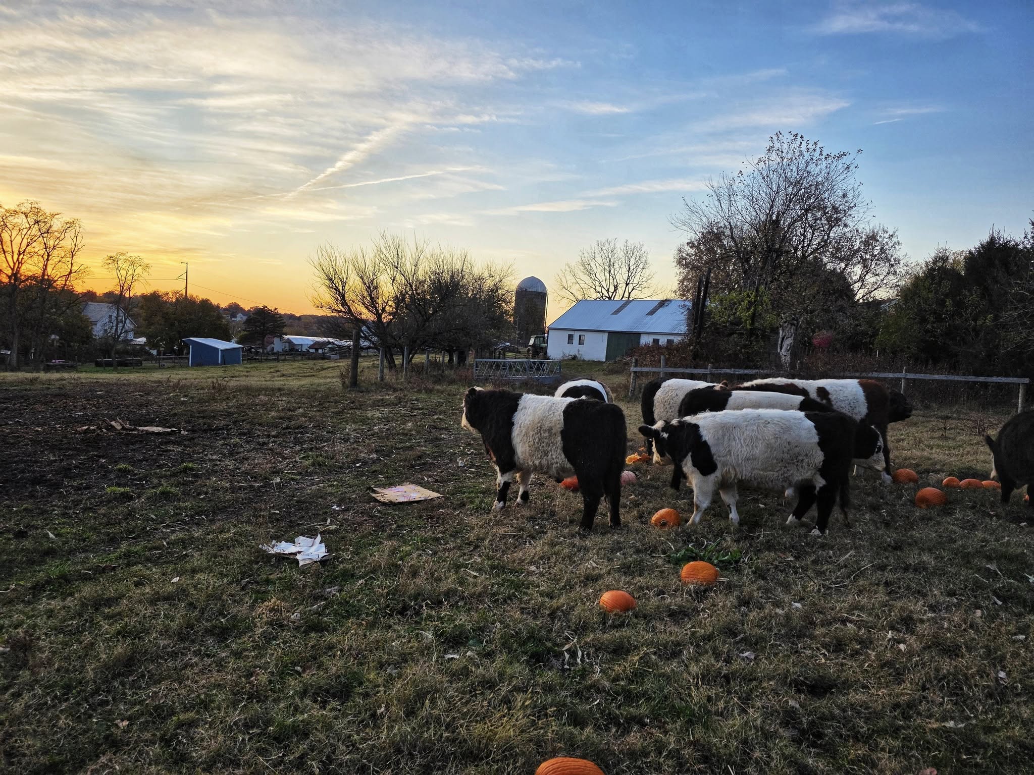 Renninger's Farmers Market