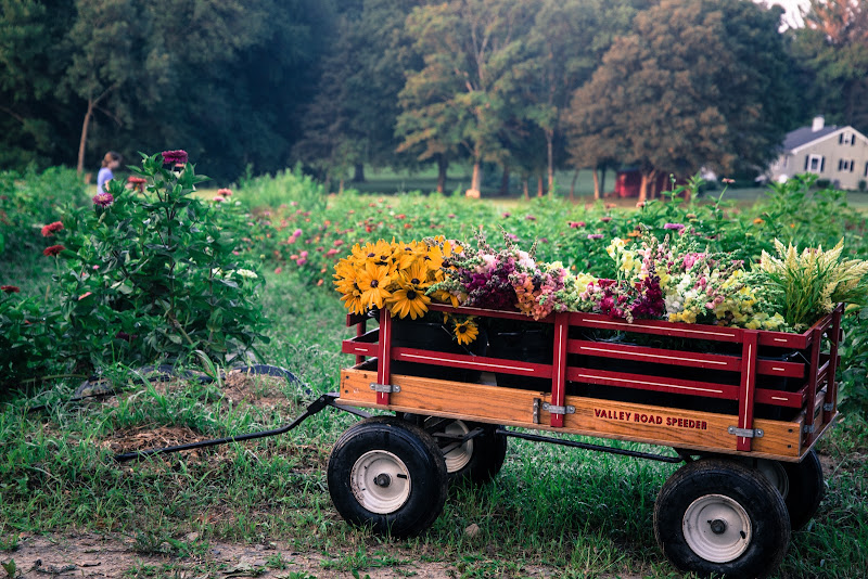 Adamah CSA in Falls Village