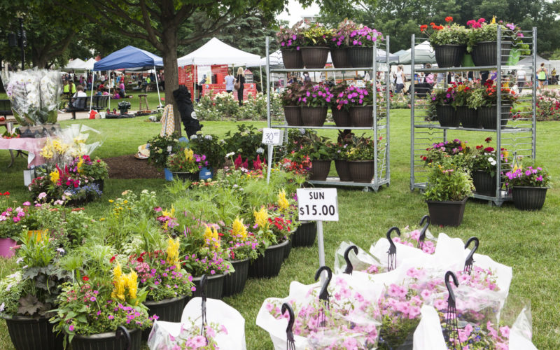 Libertyville's Main Street Farmers' Market