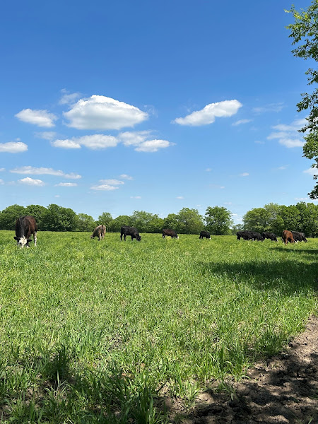 Smith Farms