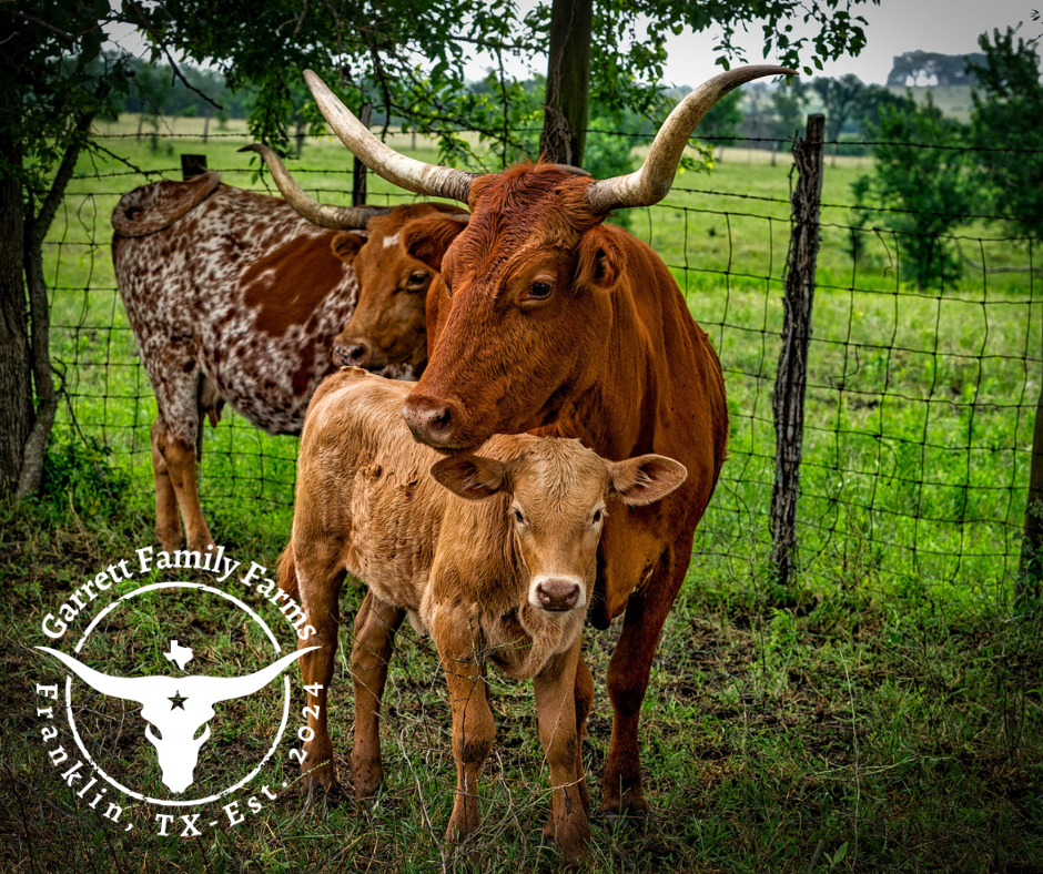 Garrett Family Farm photo 2