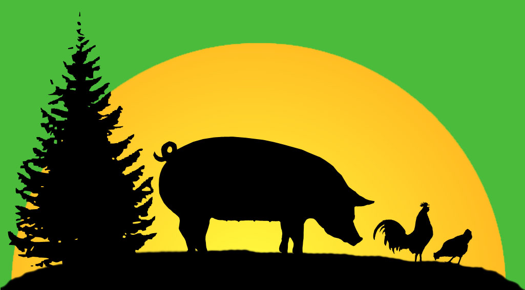 Sunny Cedars Farm