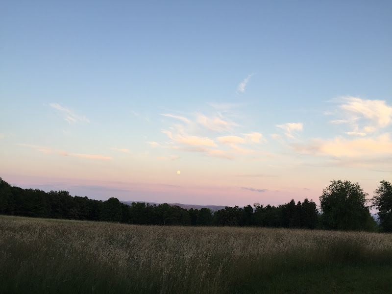 Pike Mountain Farm photo 7