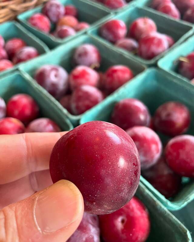 Cross Keys Farm, Inc