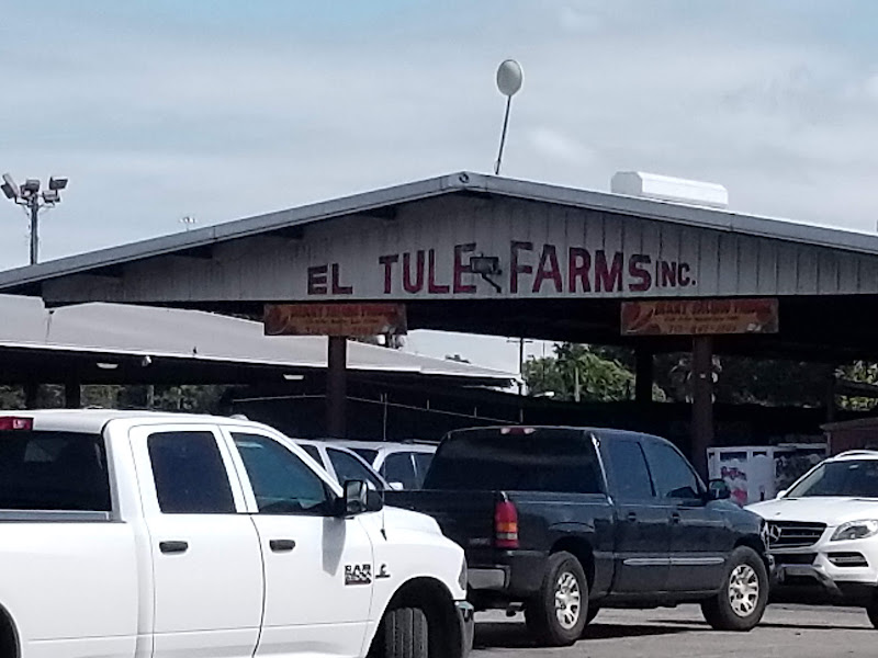 Urban Harvest Farmers Market photo 6