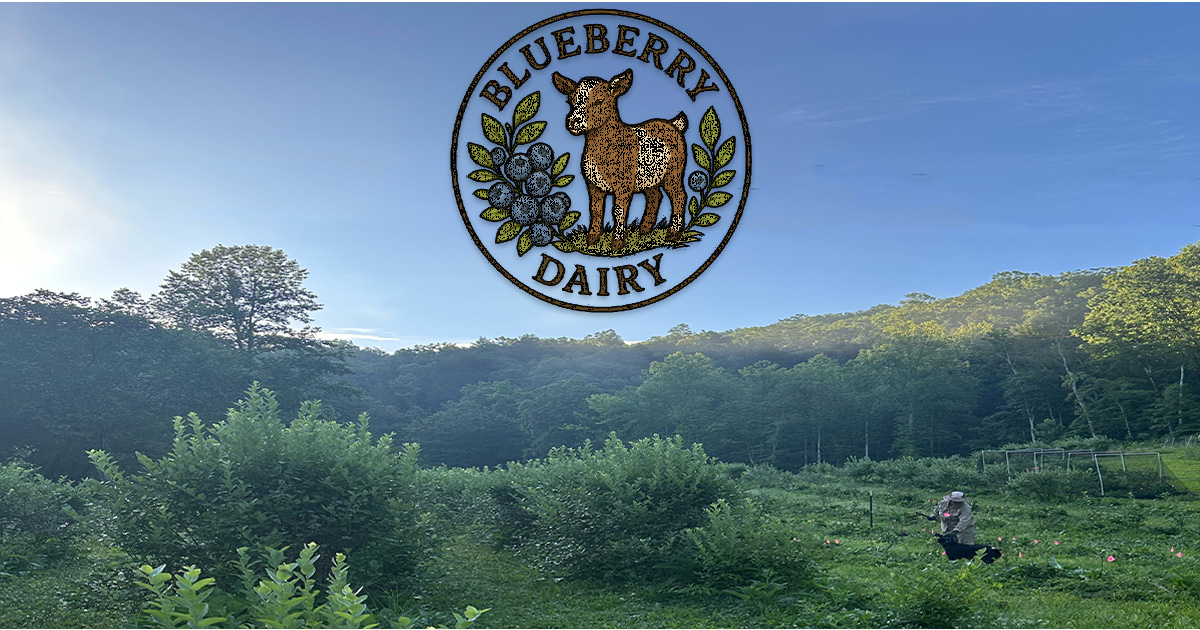 Blueberry Dairy at Hickory Cove Orchards