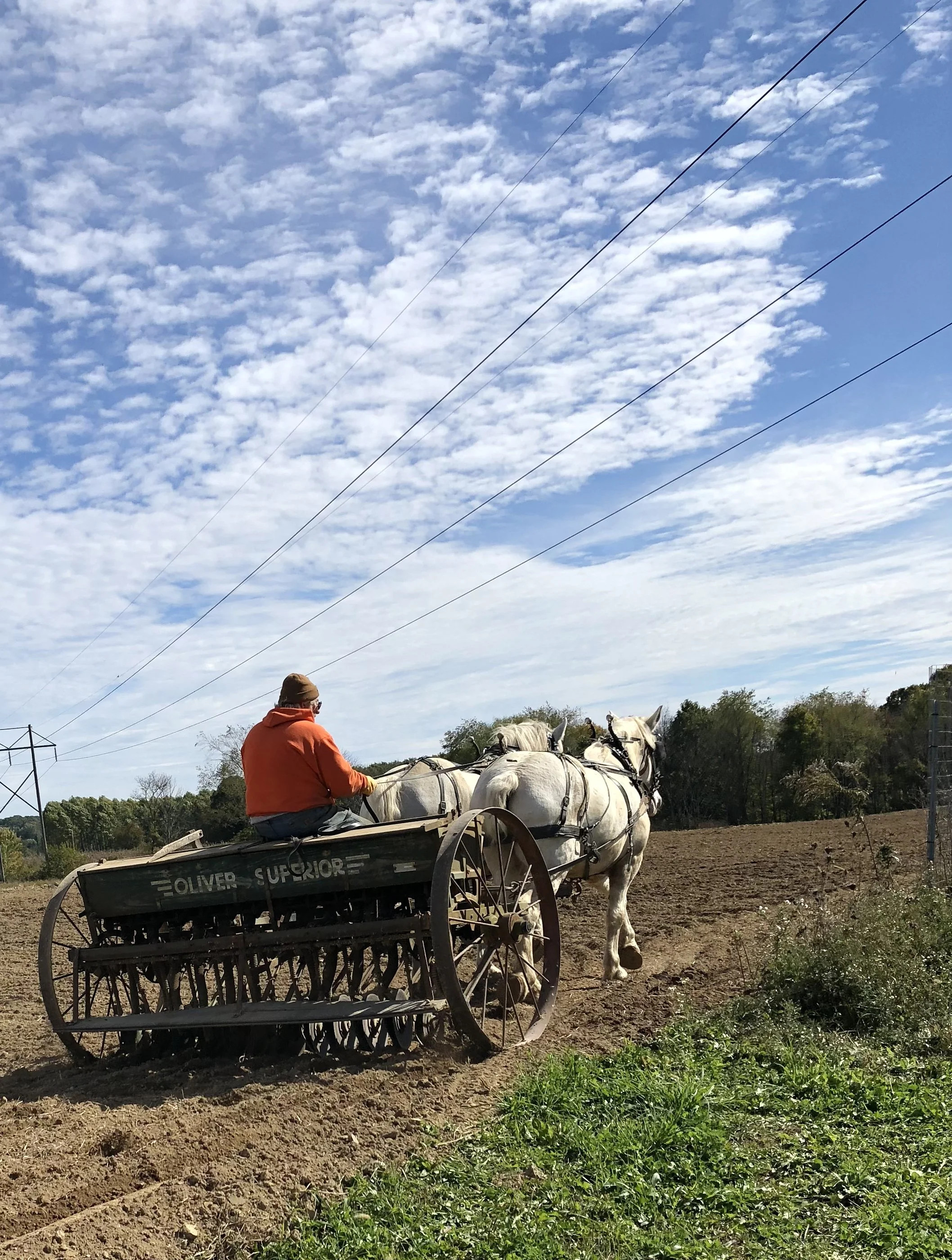 Mud Run Farms photo 10