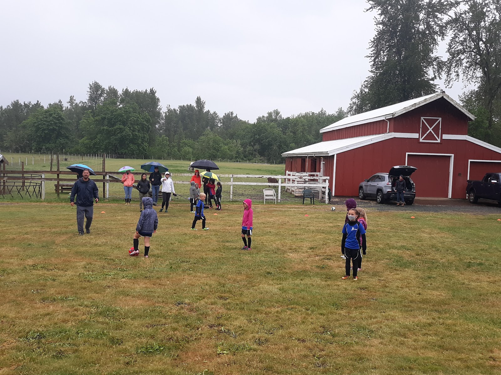 Adkins Blueberry Farm photo 2