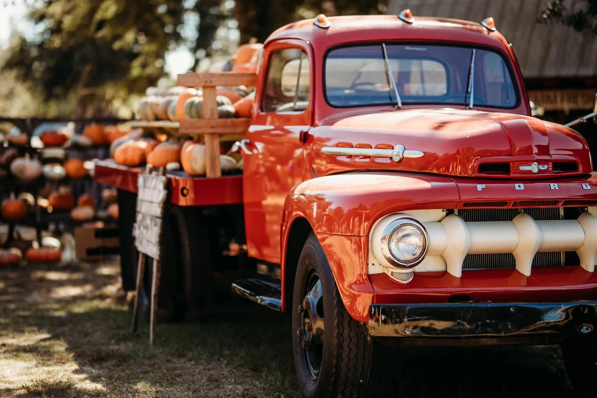 Grant Christmas Tree Farm