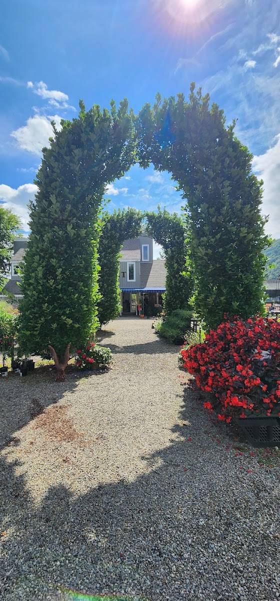 Kent CT Farmers Market photo 2