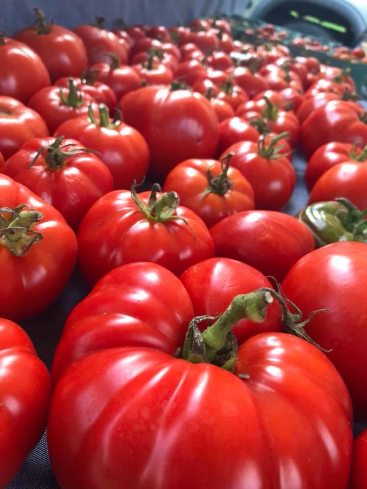 Goochland Farmers Market photo 3