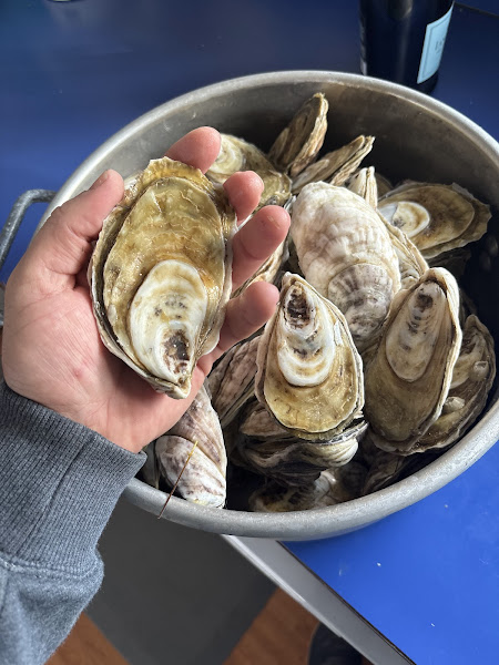 Chadwick Creek Oysters