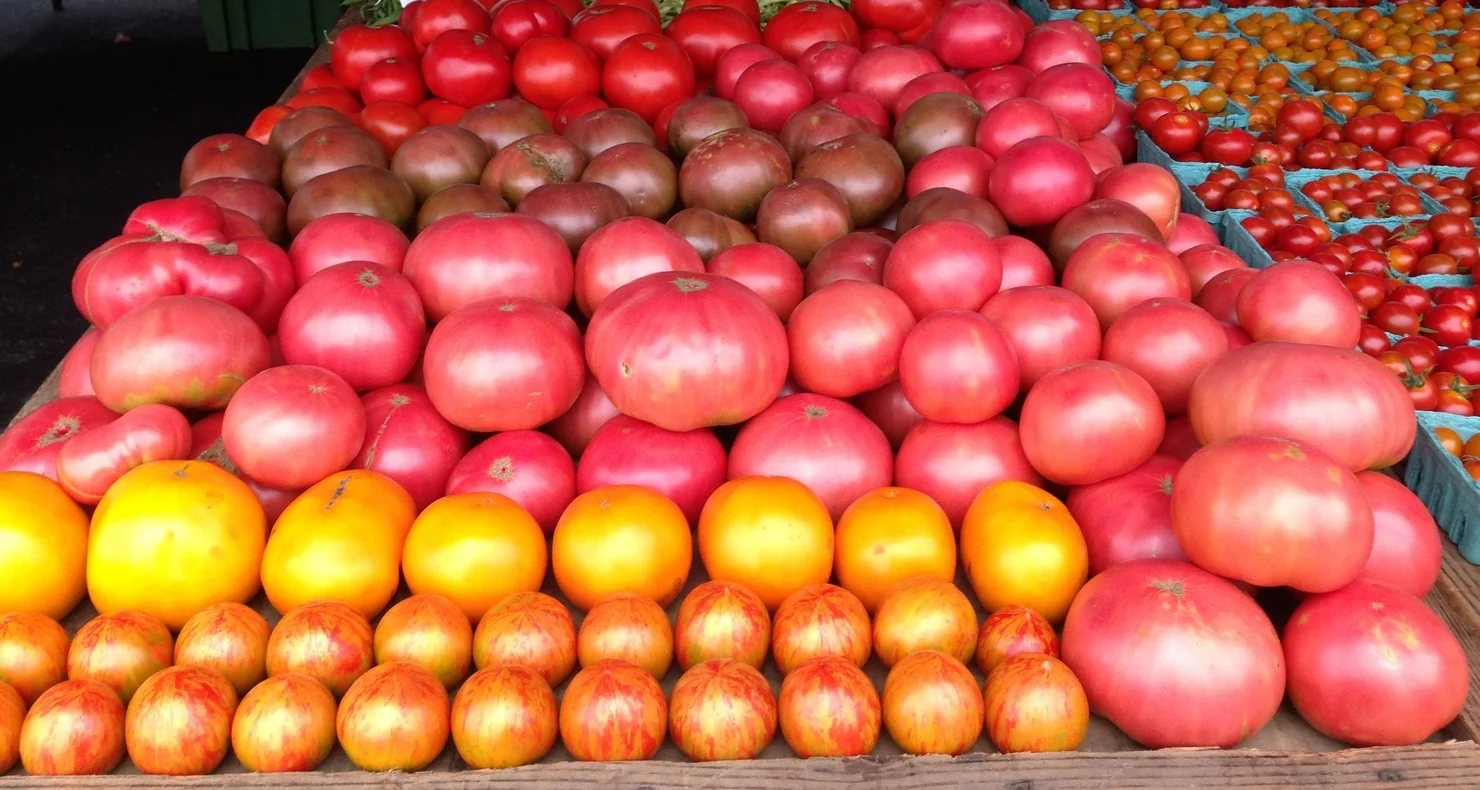 New Milford Farmers' Market