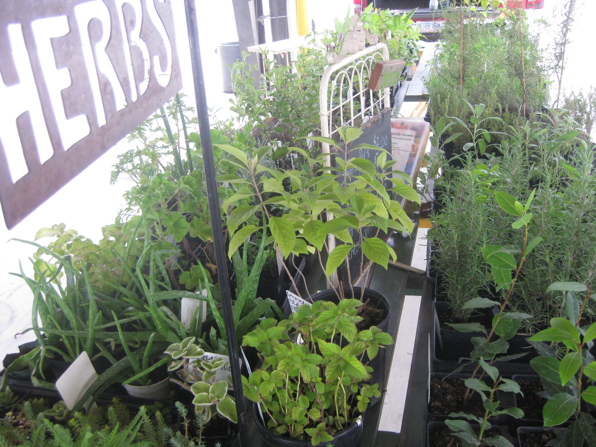 Mills Garden Herb Farm