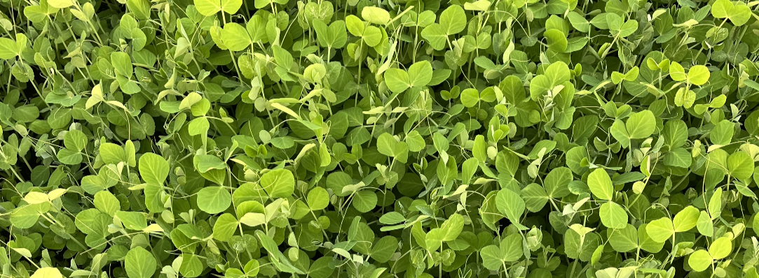 Bio Way Farm photo 27
