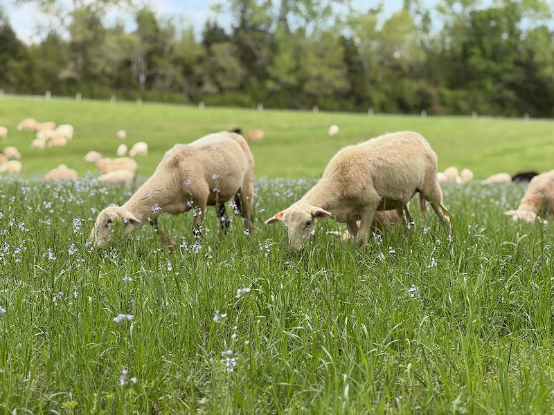 Bio Way Farm photo 2