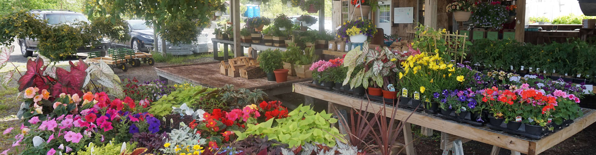 Brossman Family Farm