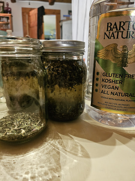 Made in The USA Herbal Green Teas