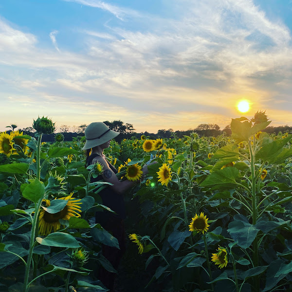 Jacob's Fresh Farm photo 2
