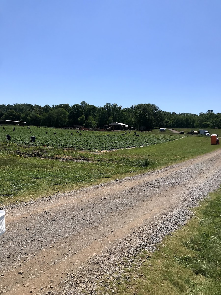 Hyde Farms photo 26