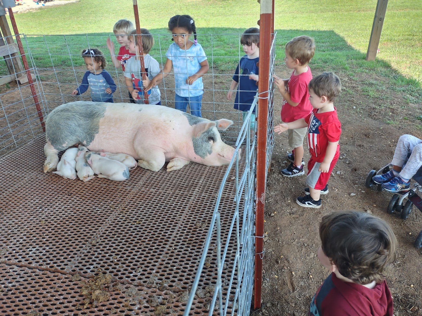 Hyde Farms photo 29