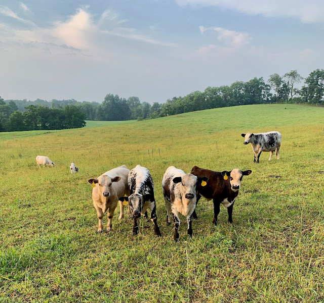 Wilson Family Farms NJ