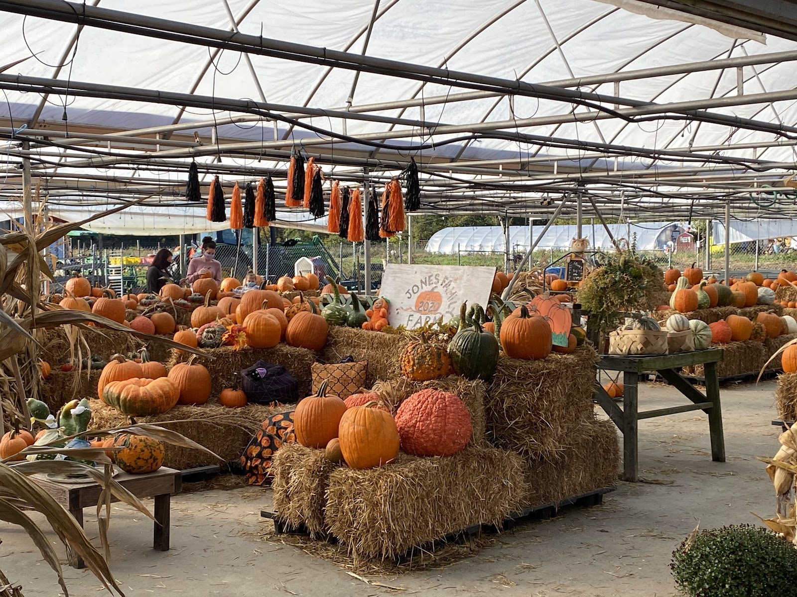 Jones Family Farm Market photo 2
