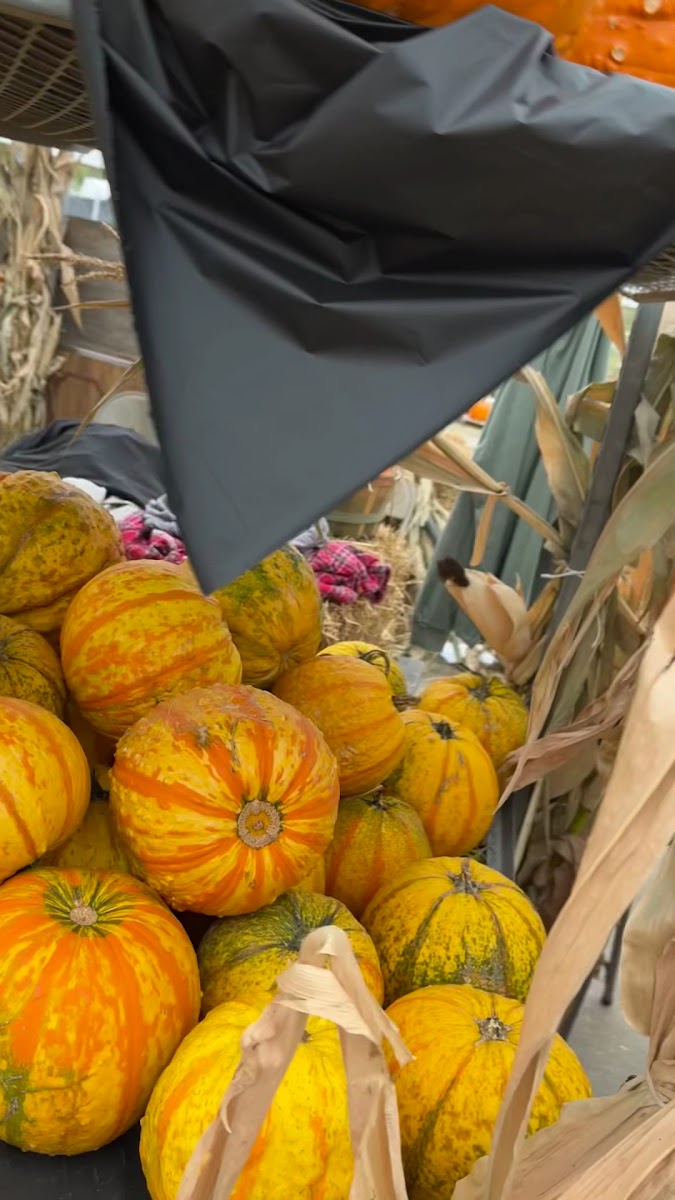 Jones Family Farm Market photo 4