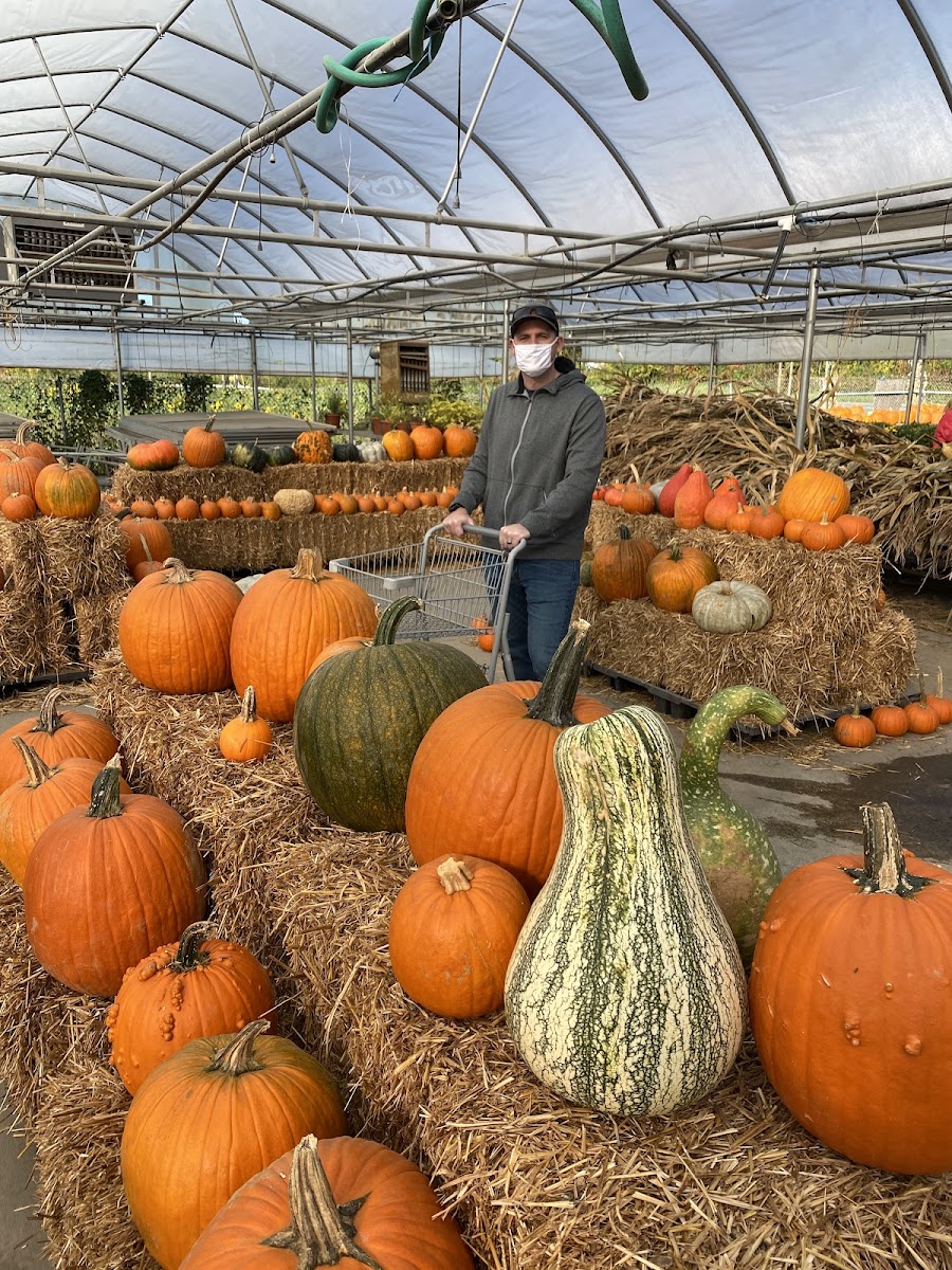 Jones Family Farm Market photo 5