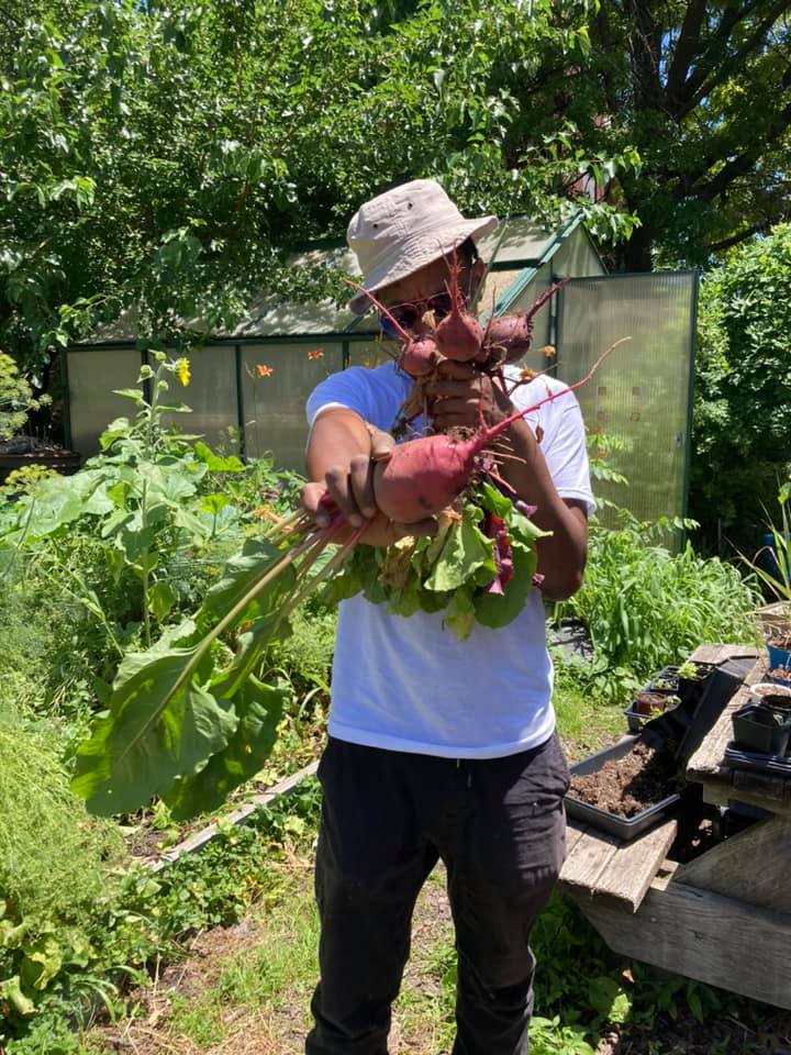 New Roots Urban Farm