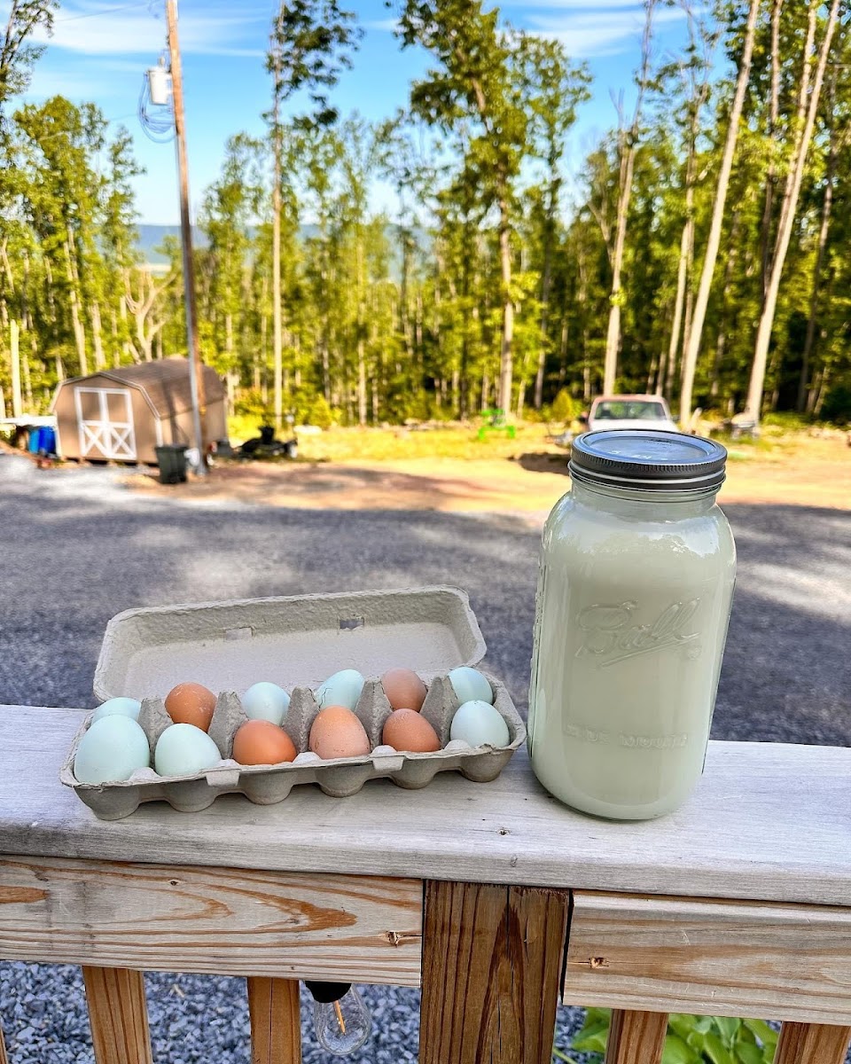 Daily Grace Farm photo 2