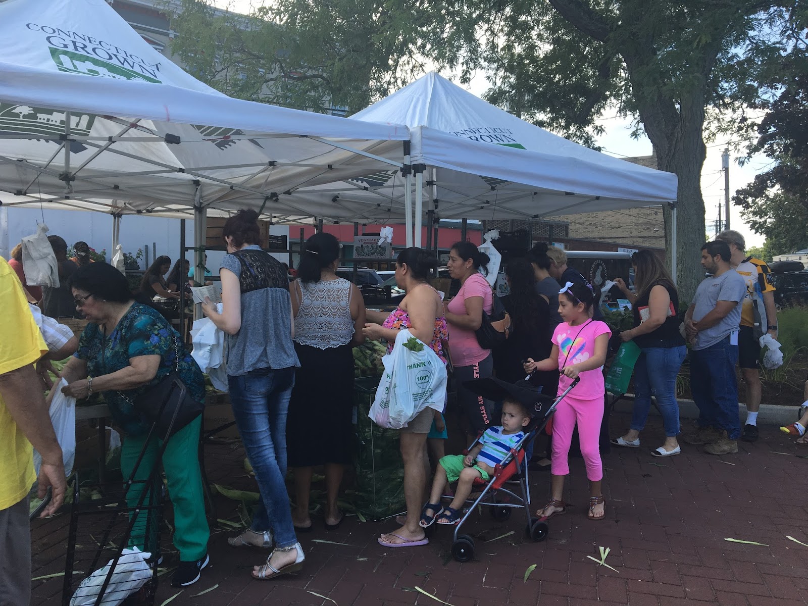 Danbury Farmers' Market photo 5