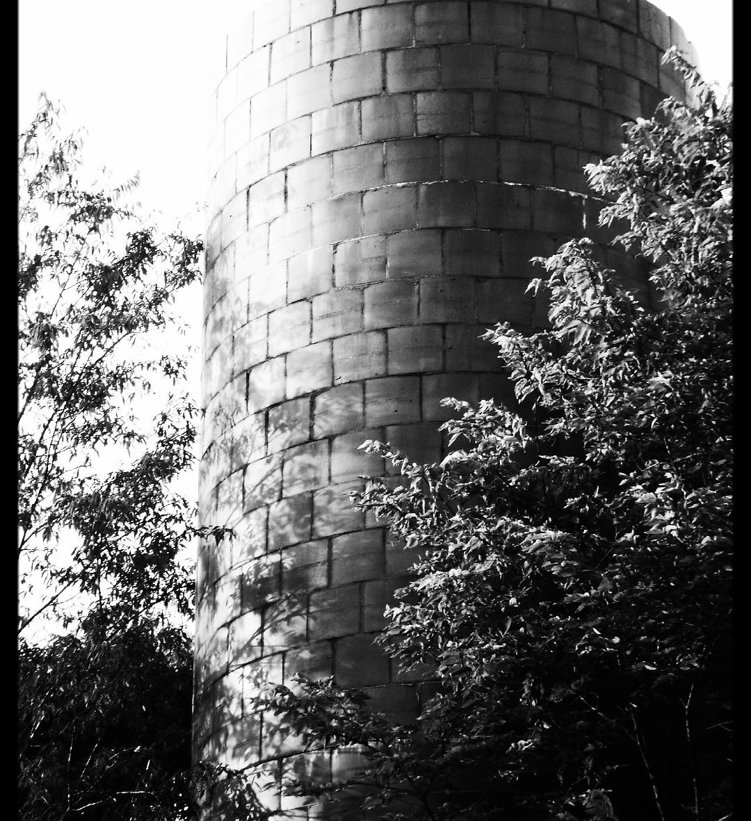 Schacht Farm photo 9