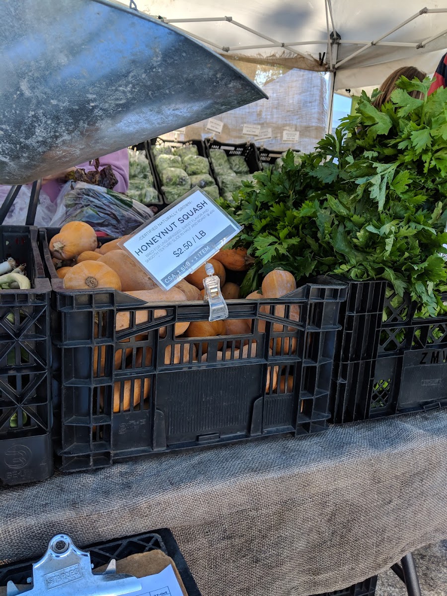 Hingham Farmers Market photo 4