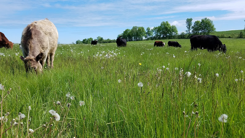 Walden Local Butcher Shop photo 2