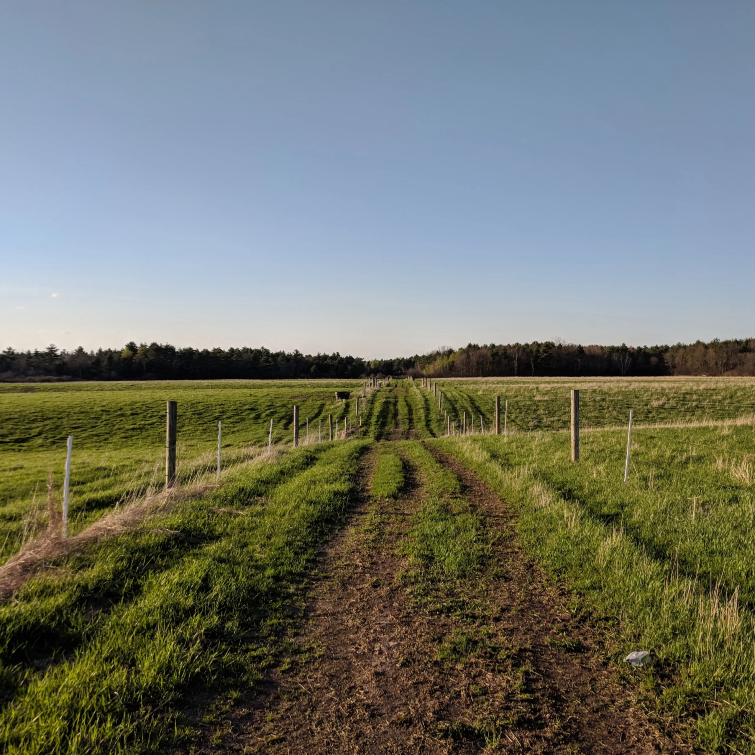 Walden Local Butcher Shop