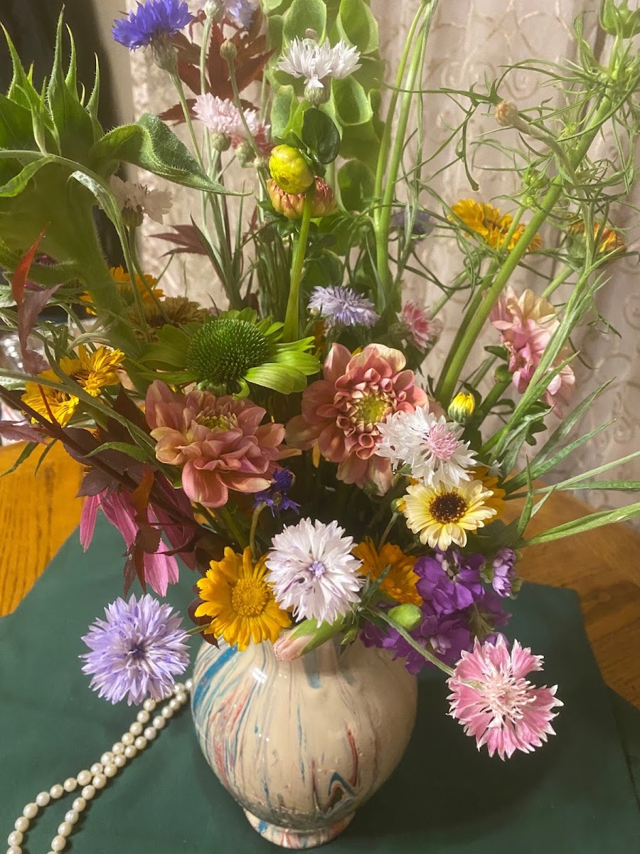 Pearlgirlfarmer photo 2