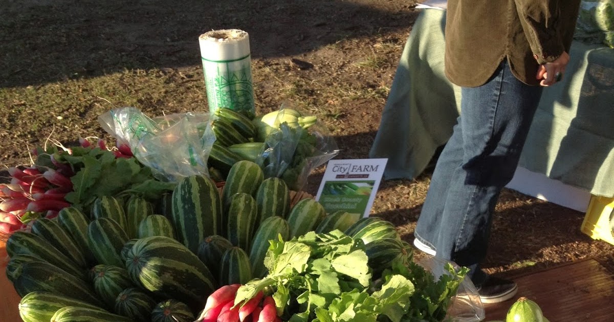 Mark and Mary's City Farm photo 9