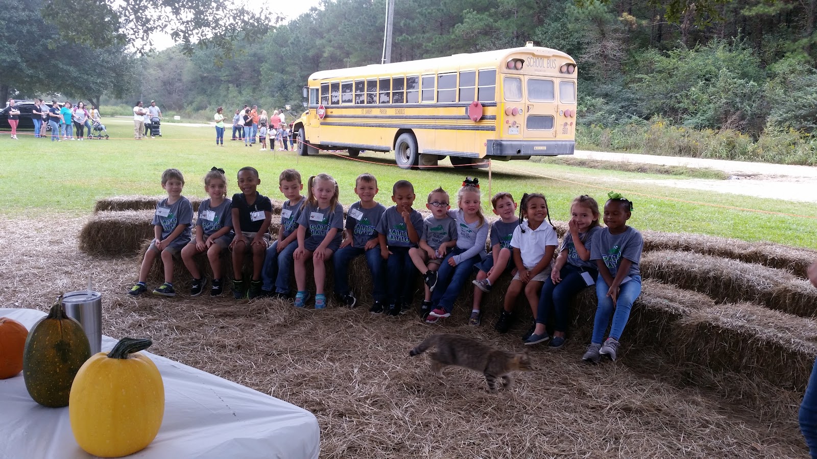 Robin Farms photo 3