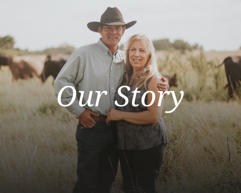 Real-Ranch LLC photo 4