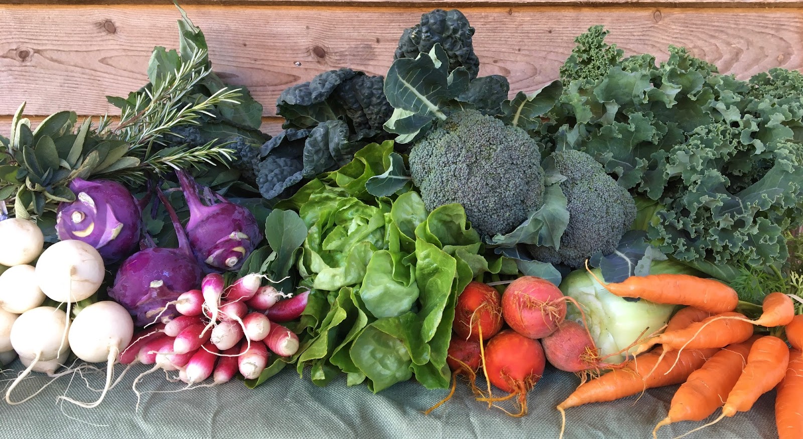 Patchwork Family Farm