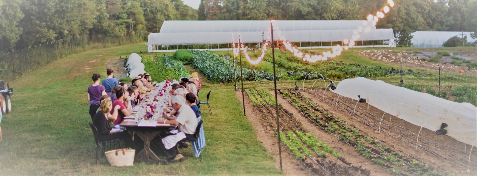 Patchwork Family Farm photo 3