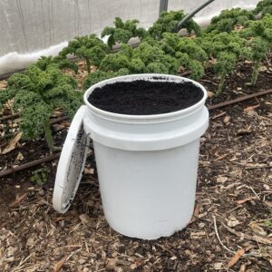 ECO City Farms photo 4