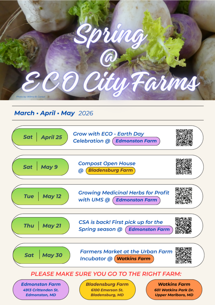 ECO City Farms photo 2