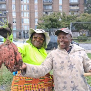 ECO City Farms photo 3