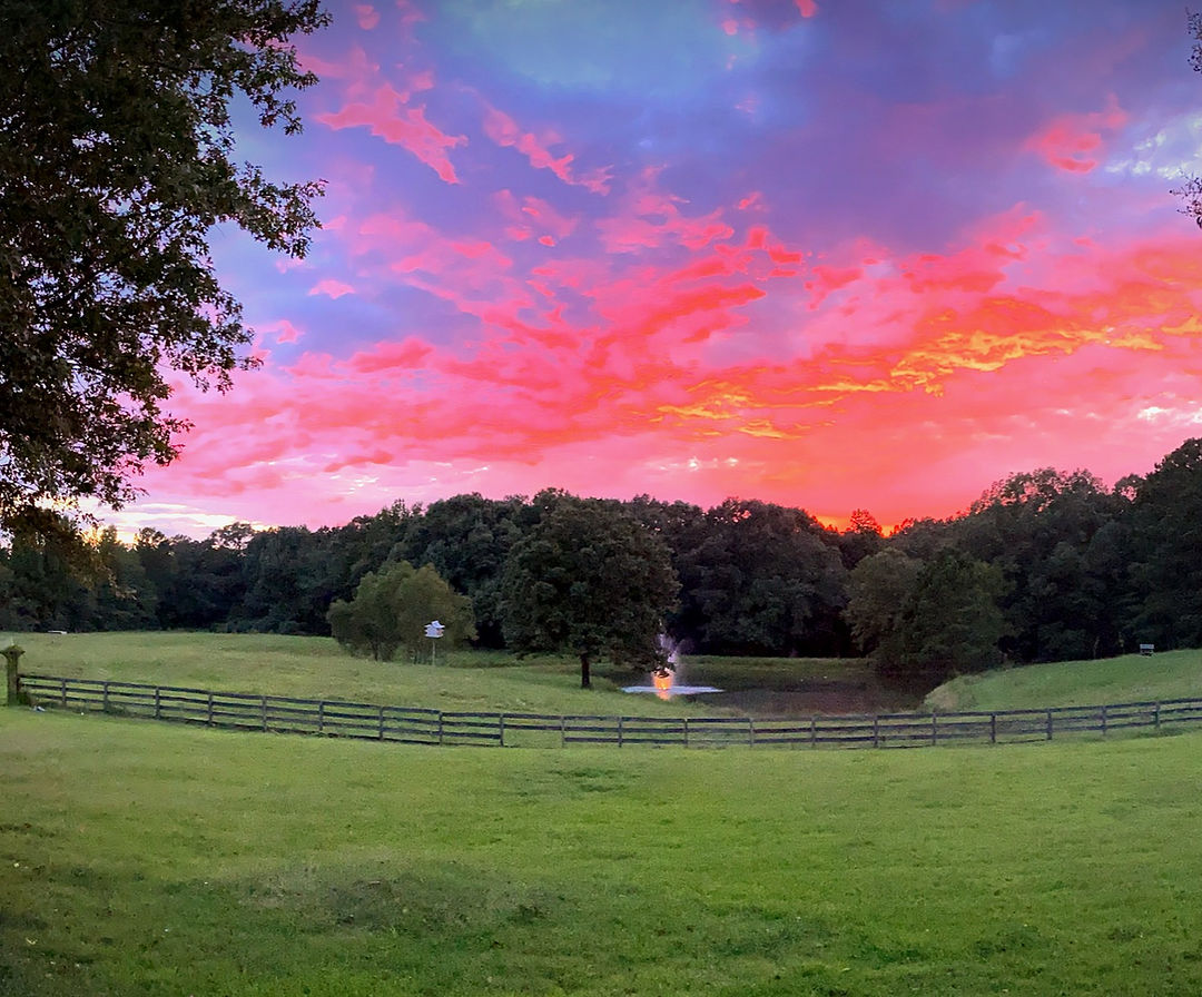 Maranatha Farms photo 5