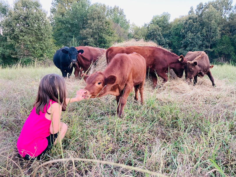 Maranatha Farms photo 3