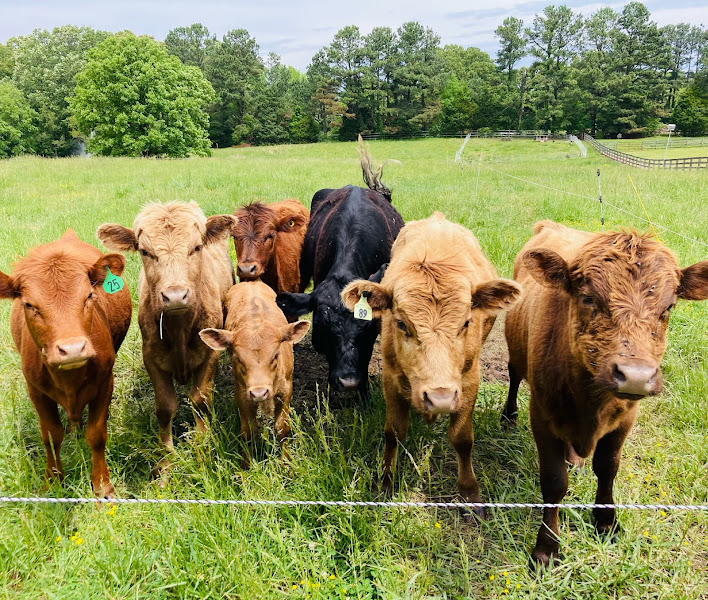 Maranatha Farms photo 4